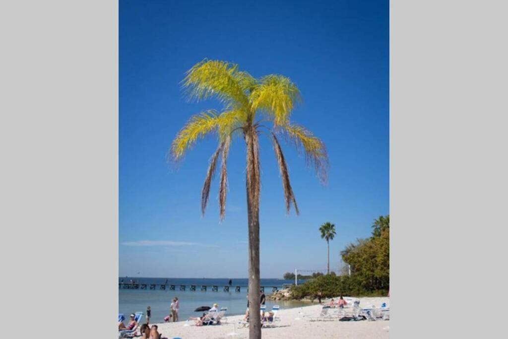 Bay View, Studio206, Beach Steps Away! Pool+Wifi ラスキン エクステリア 写真