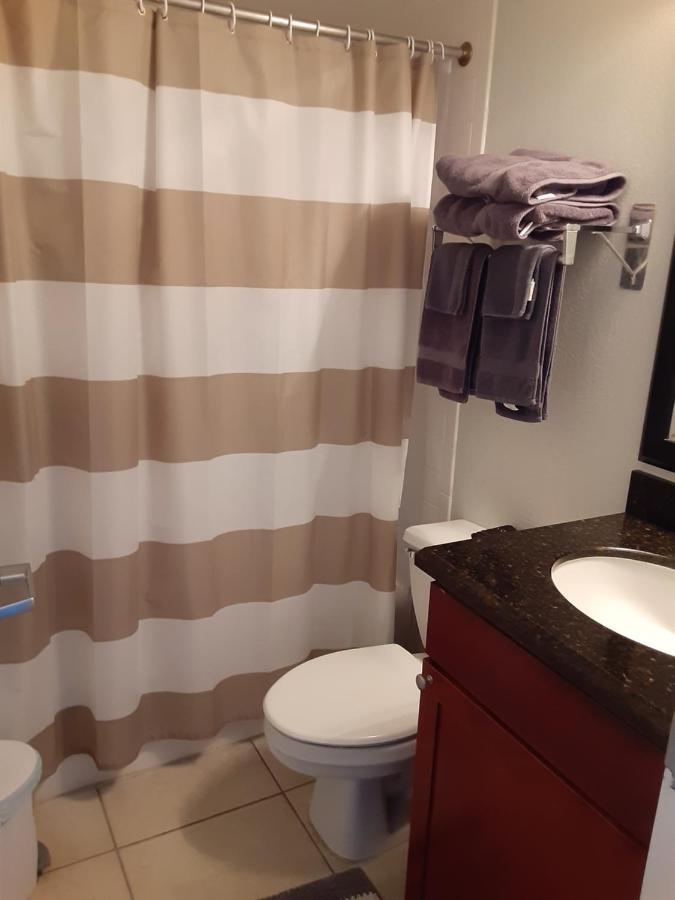 Bay View, Studio206, Beach Steps Away! Pool+Wifi ラスキン エクステリア 写真